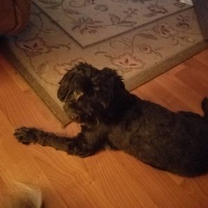 Meet your Posher, Tina